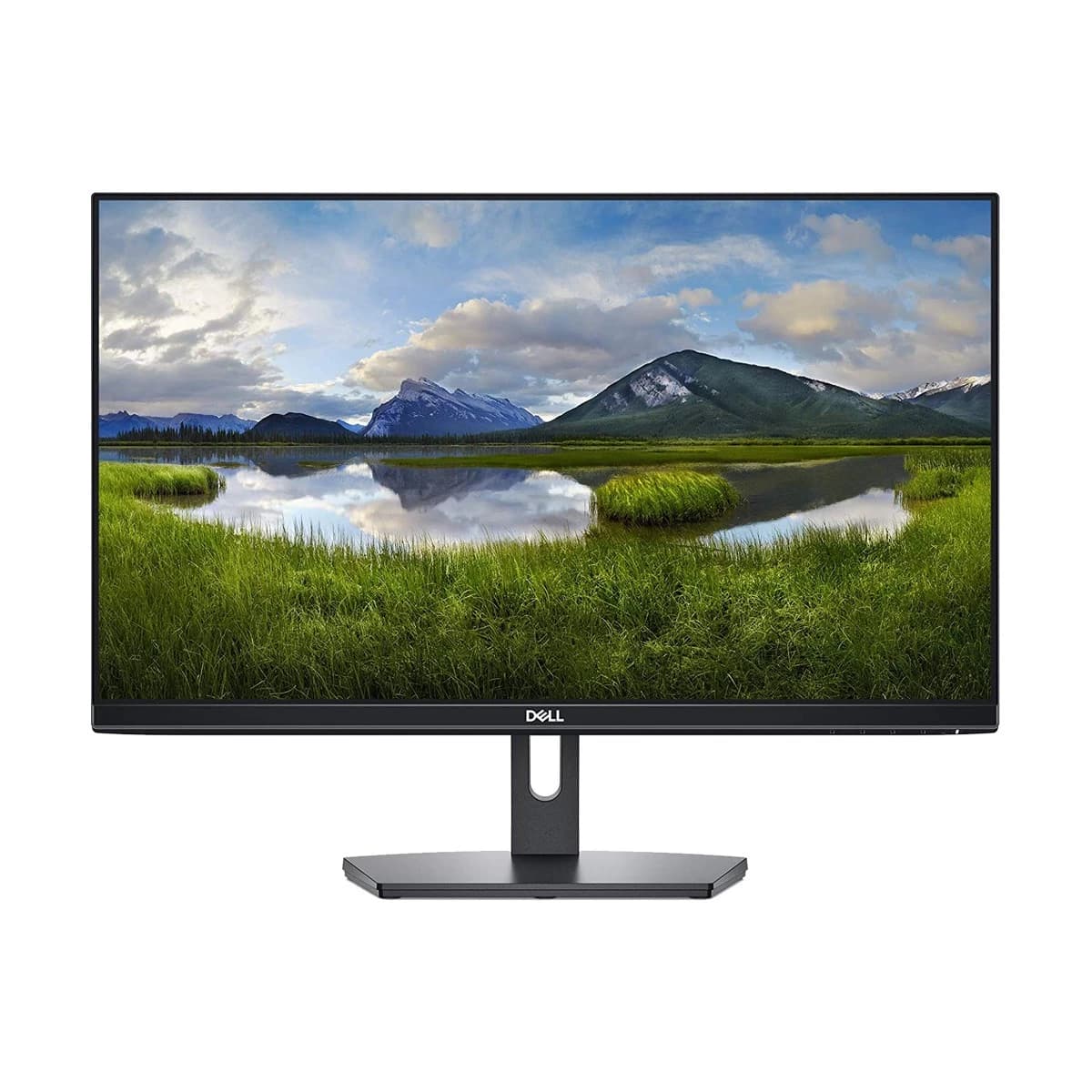 Dell 24" Full HD Monitor